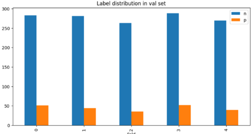 Validation Set Labels